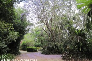 451 Miles Platting Rd, ROCHEDALE, QLD 4123 Australia