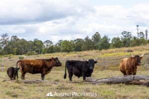 34-48 Moloney Rd, LOGANLEA, QLD 4131 Australia