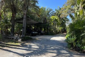 20 Lindenthal Road, PARK RIDGE, QLD 4125 Australia
