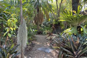20 Lindenthal Road, PARK RIDGE, QLD 4125 Australia