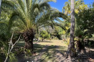 20 Lindenthal Road, PARK RIDGE, QLD 4125 Australia