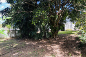 170 Macrossan Avenue, NORMAN PARK, QLD 4170 Australia